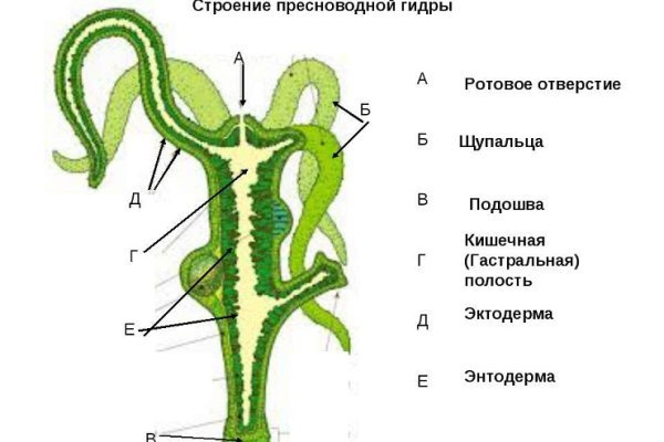 Как купить наркотик в кракен