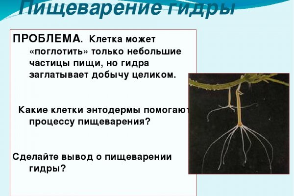 Кракен правила площадки