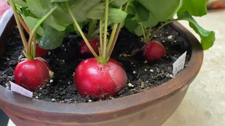 Что такое кракен маркетплейс в россии