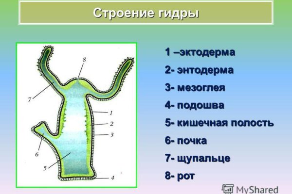 Кракен не грузит